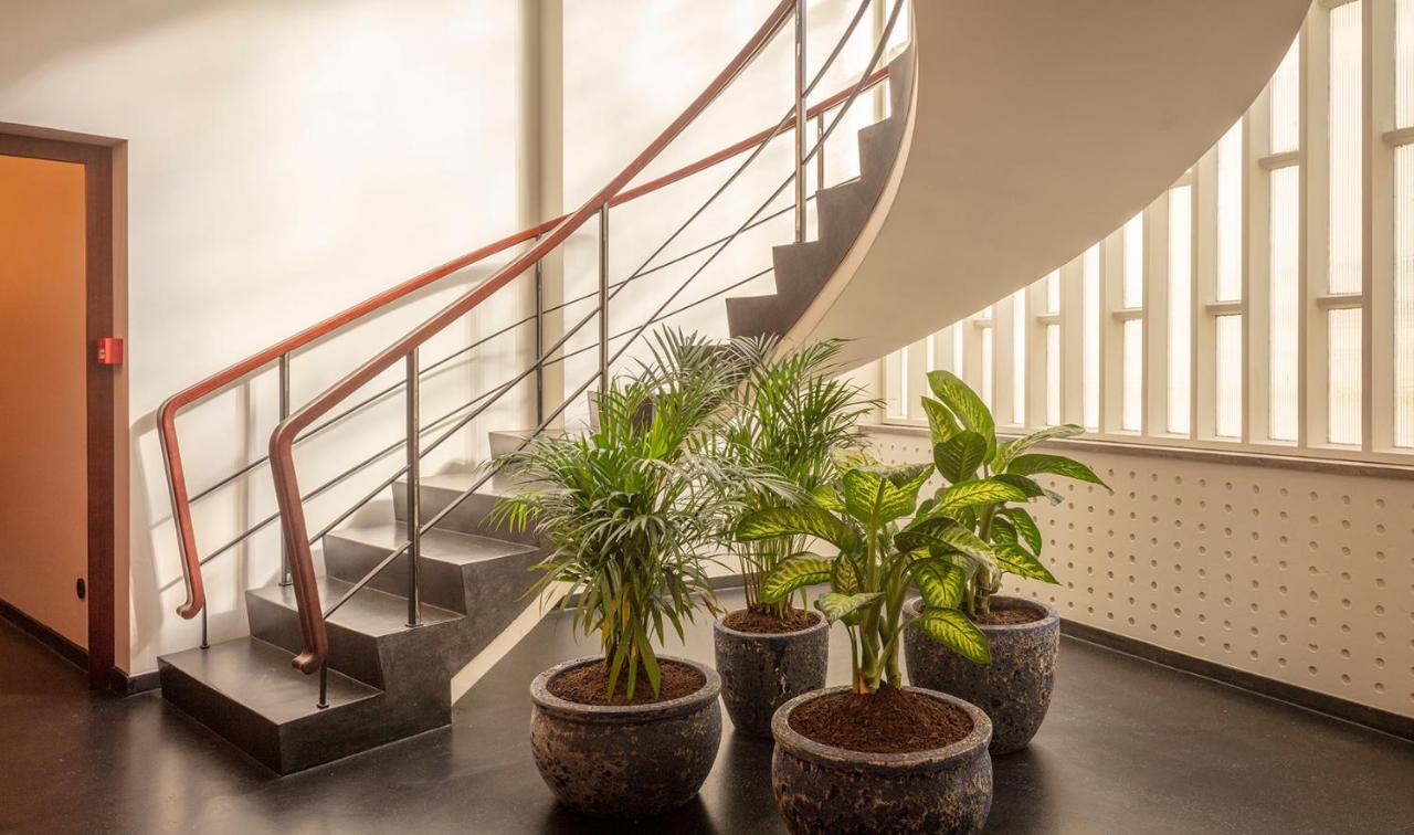 Ceuta Terrace Suites Porto Exterior foto